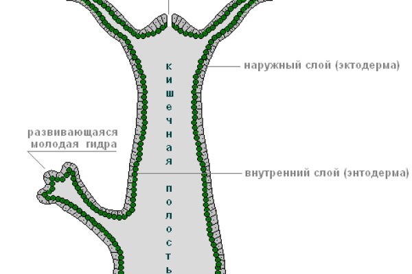 Ссылка на кракен свежая